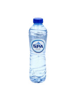 brandmasters Spa blauw tray 24 x 0,5L (statiegeld fles )