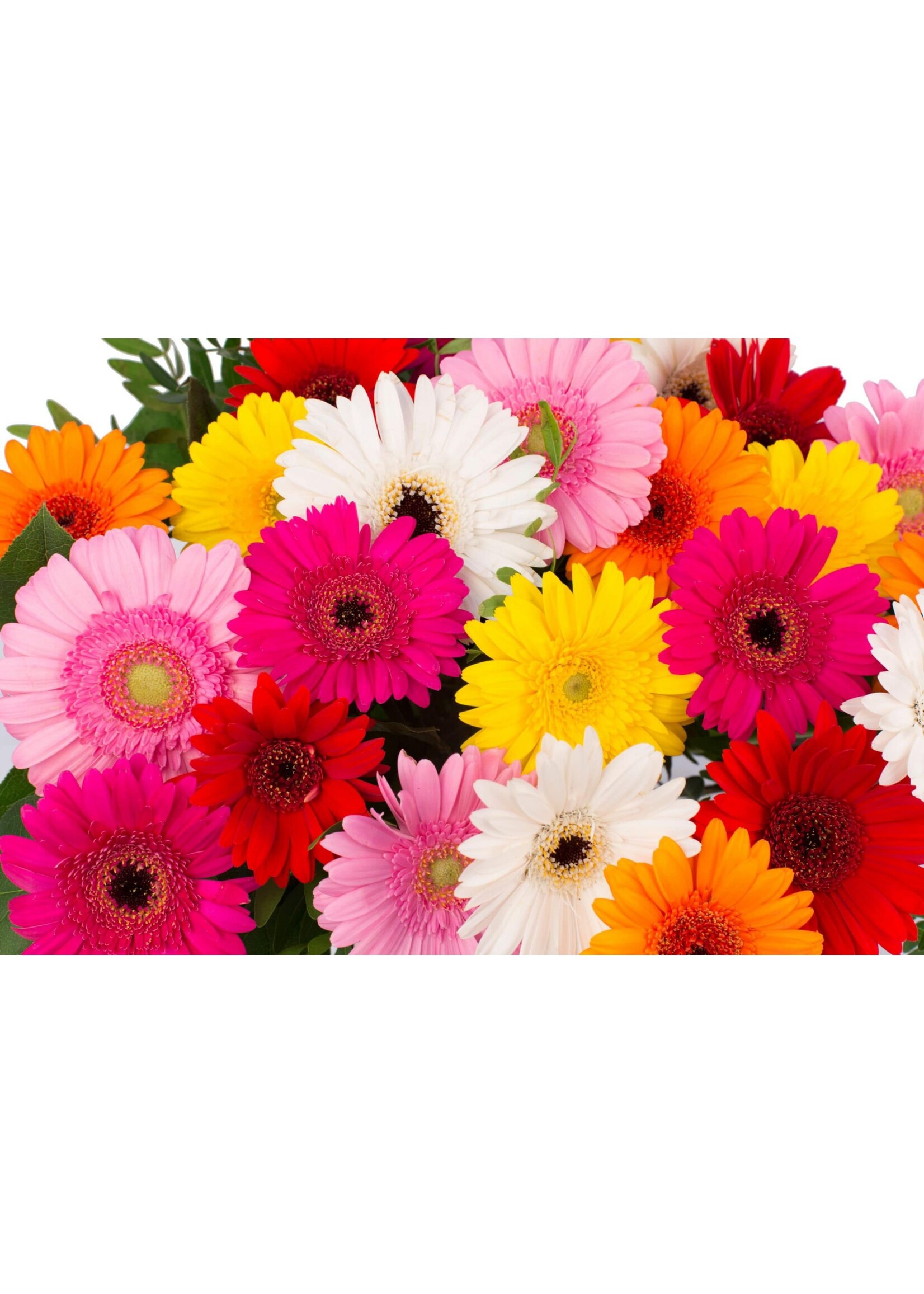 Boeket gemaakt van diverse gerbera's met blad