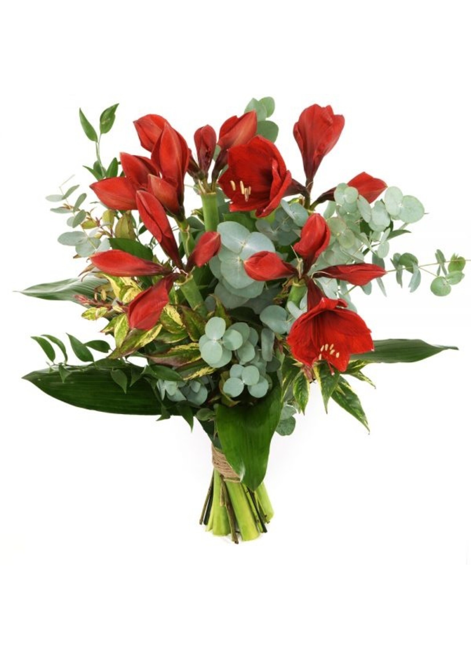 Kerstboeket amarylis excl vaas