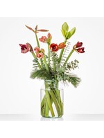 Kerstboeket amarylis excl vaas