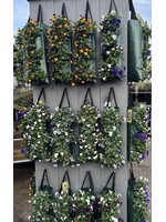 Violen hangzak (alleen in de winkel verkrijgbaar)