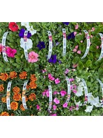 Perkgoed six-pack (alleen in de winkel verkrijgbaar)