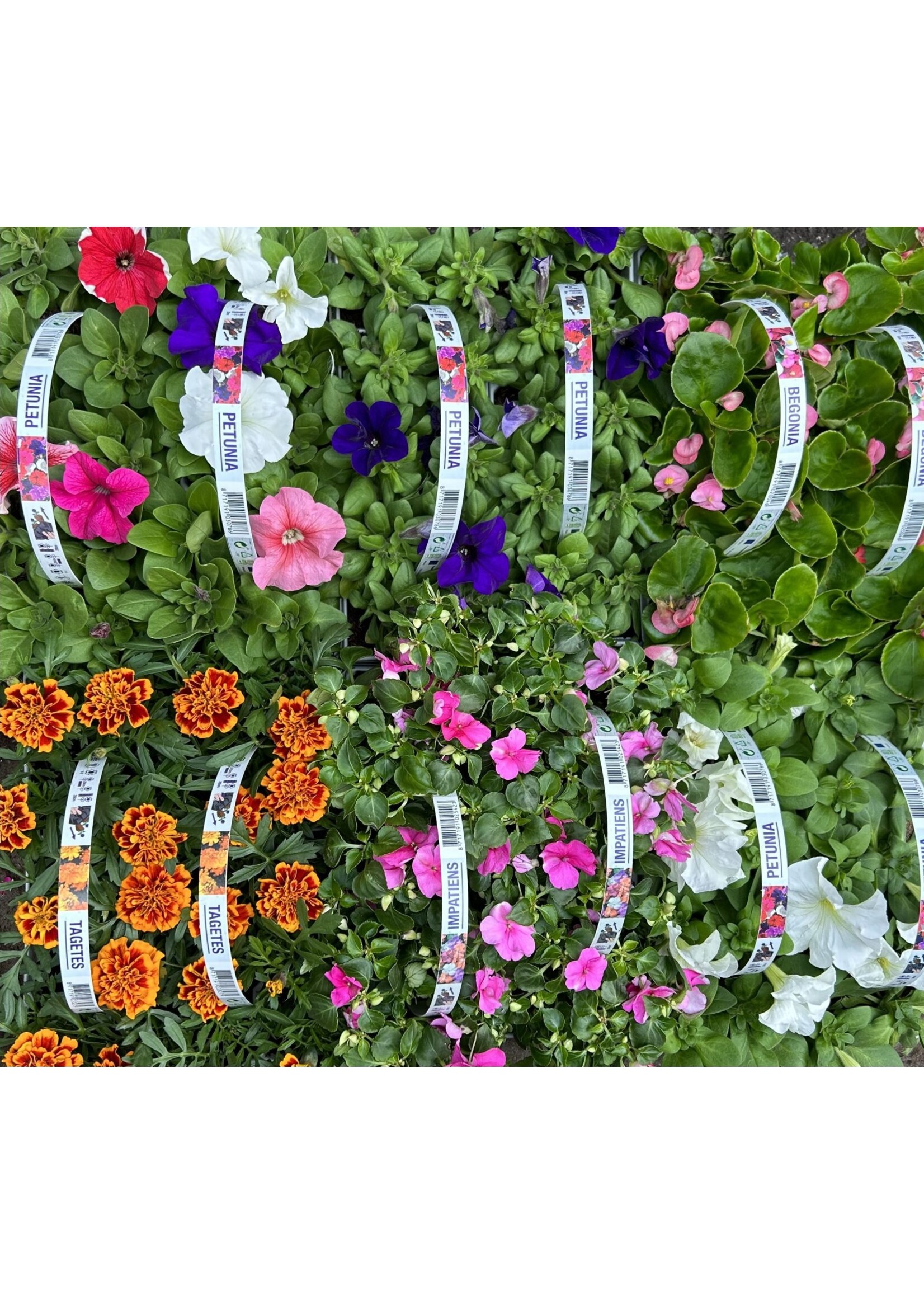 Perkgoed six-pack (alleen in de winkel verkrijgbaar)