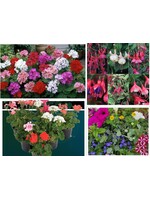 Perkgoed € 1,79  (alleen in de winkel verkrijgbaar)