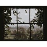 Inzethor Flexhor ® op Maat Gemaakt