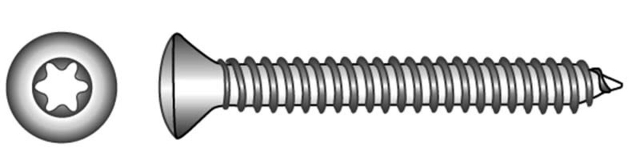 Marinetech Marinetech | Blister | ISO 14587 A4 | TX15 | 3,5 x 25 mm | 12 stuks Marinetech Marinetech | Blister | ISO 14587 A4 | TX15 | 3,5 x 25 mm | 12 stuks