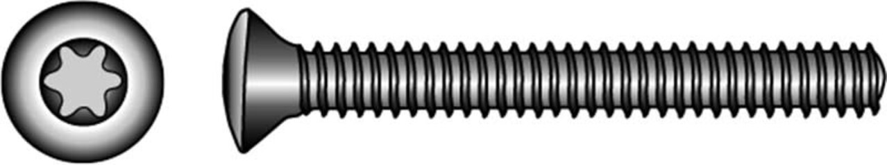 Marinetech Marinetech | Blister | ISO 14584 A4 | TX30 | 6  x  60 mm | 4 stuks Marinetech Marinetech | Blister | ISO 14584 A4 | TX30 | 6  x  60 mm | 4 stuks