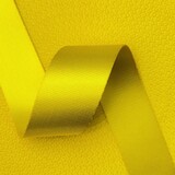 Veiligheidsgordelband / Autogordelband | 1-Baan geweven | Geel | 48 mm