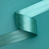 Veiligheidsgordelband / Autogordelband | 5-Baans geweven | Turquoise | 48 mm