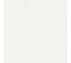 Sunbrella Sunbrella | Plus | Natural # 5020 | 320 gr/m2 | 152 cm
