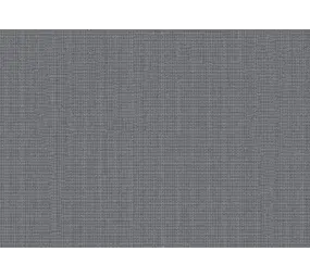 Sunbrella Sunbrella | Plus | Rock # P079 | 320 gr/m2 | 152 cm