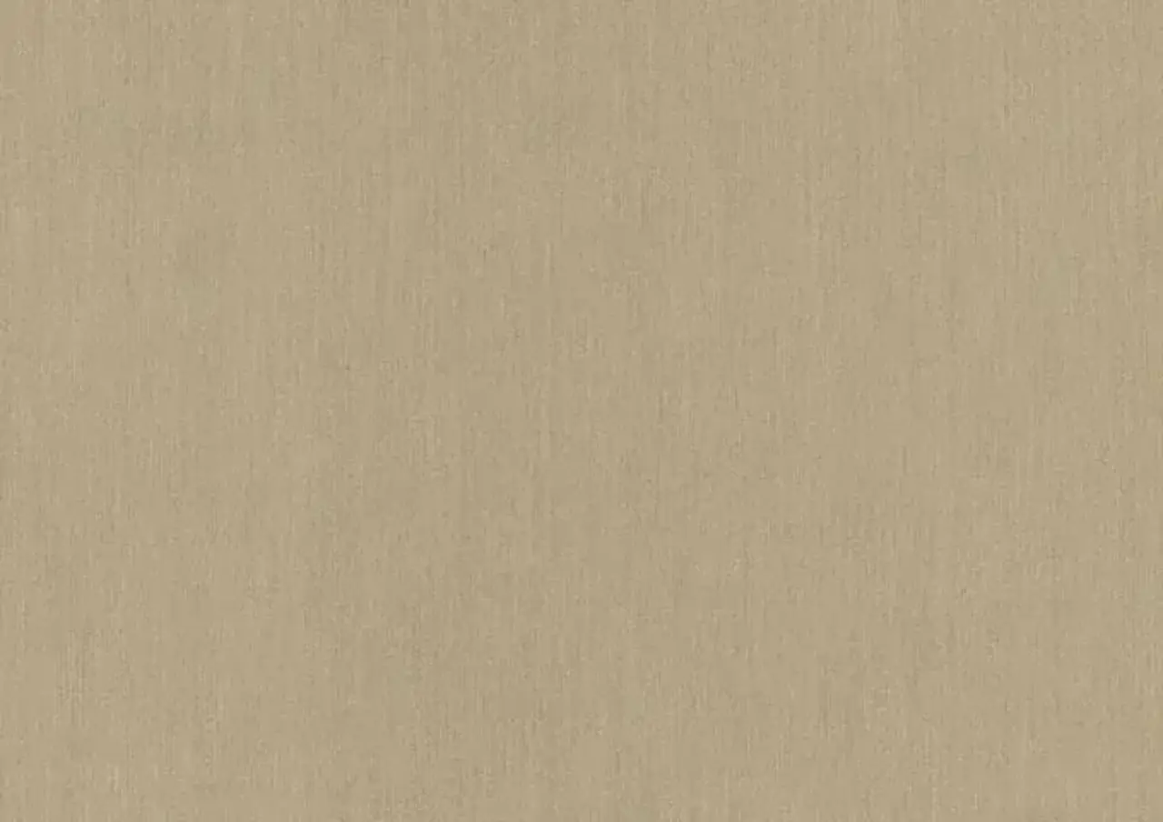Sunbrella Sunbrella | Plus | Flax # P017 | 320 gr/m2 | 152 cm
