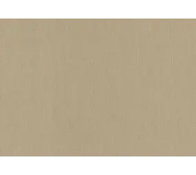 Sunbrella Sunbrella | Plus | Flax # P017 | 320 gr/m2 | 152 cm
