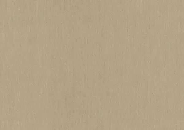 Sunbrella Sunbrella | Plus | Flax # P017 | 320 gr/m2 | 152 cm