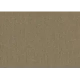 Sunbrella Sunbrella | Plus | Heather Beige # 5572 | 320 gr/m2 | 152 cm