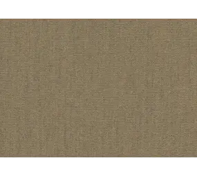 Sunbrella Sunbrella | Plus | Heather Beige # 5572 | 320 gr/m2 | 152 cm