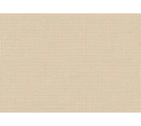Sunbrella Sunbrella | Plus | Moonstone # P081 | 320 gr/m2 | 152 cm