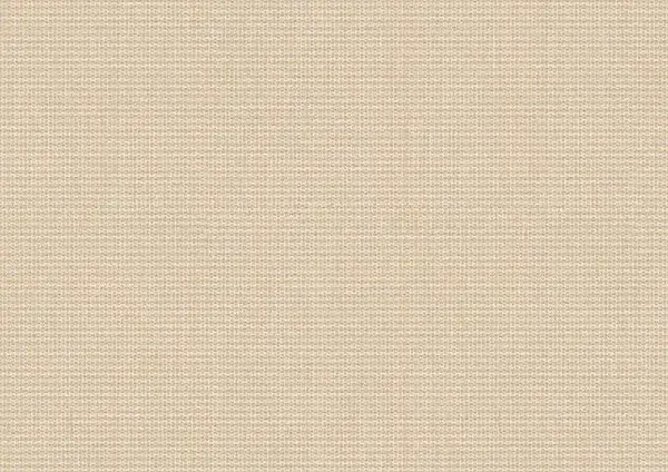 Sunbrella Sunbrella | Plus | Moonstone # P081 | 320 gr/m2 | 152 cm