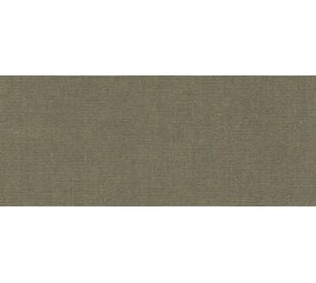 Sunbrella Sunbrella | Plus | Taupe # 5548 | 320 gr/m2 | 152 cm