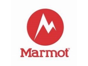 Marmot