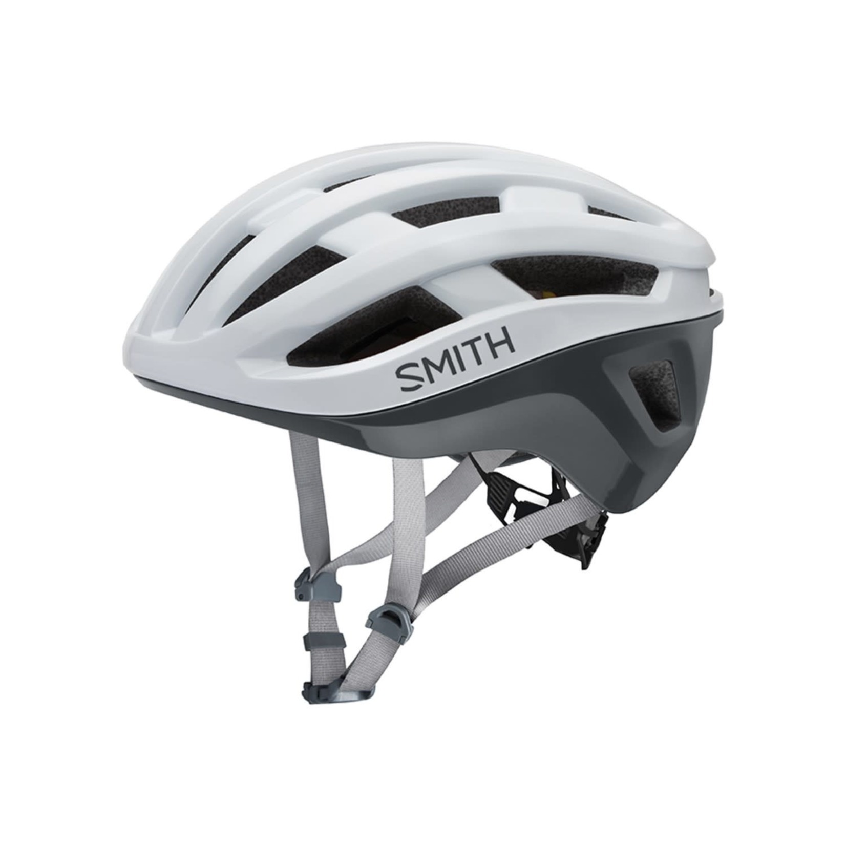 Smith Persist MIPS