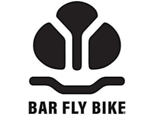 The Bar Fly