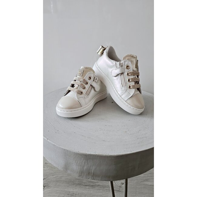 Beberlis Sneakers Lore