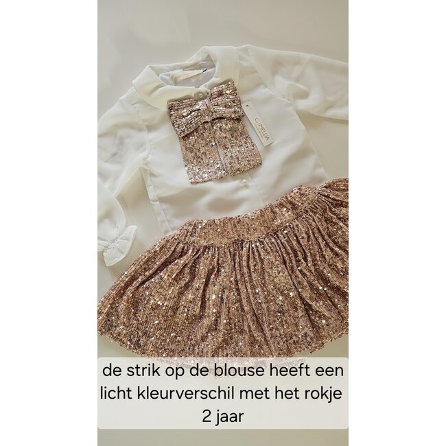 Camellia boutique Blouse Sparkle roze