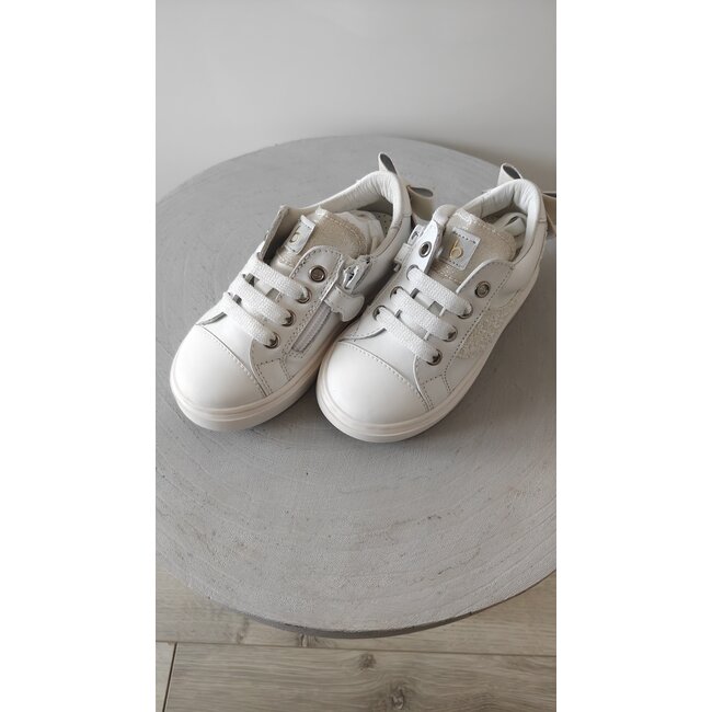 Beberlis Sneaker Vie