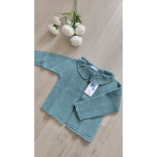 Mac ilusión Cardigan Marta groen
