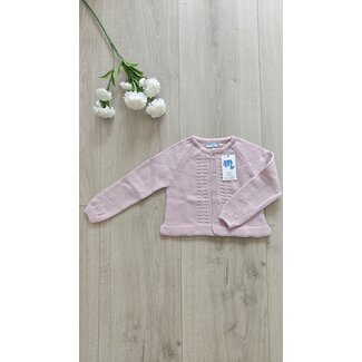 Mac ilusión Cardigan Elsa mauve