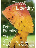 Affiche Tomáš Libertíny - For Eternity A2