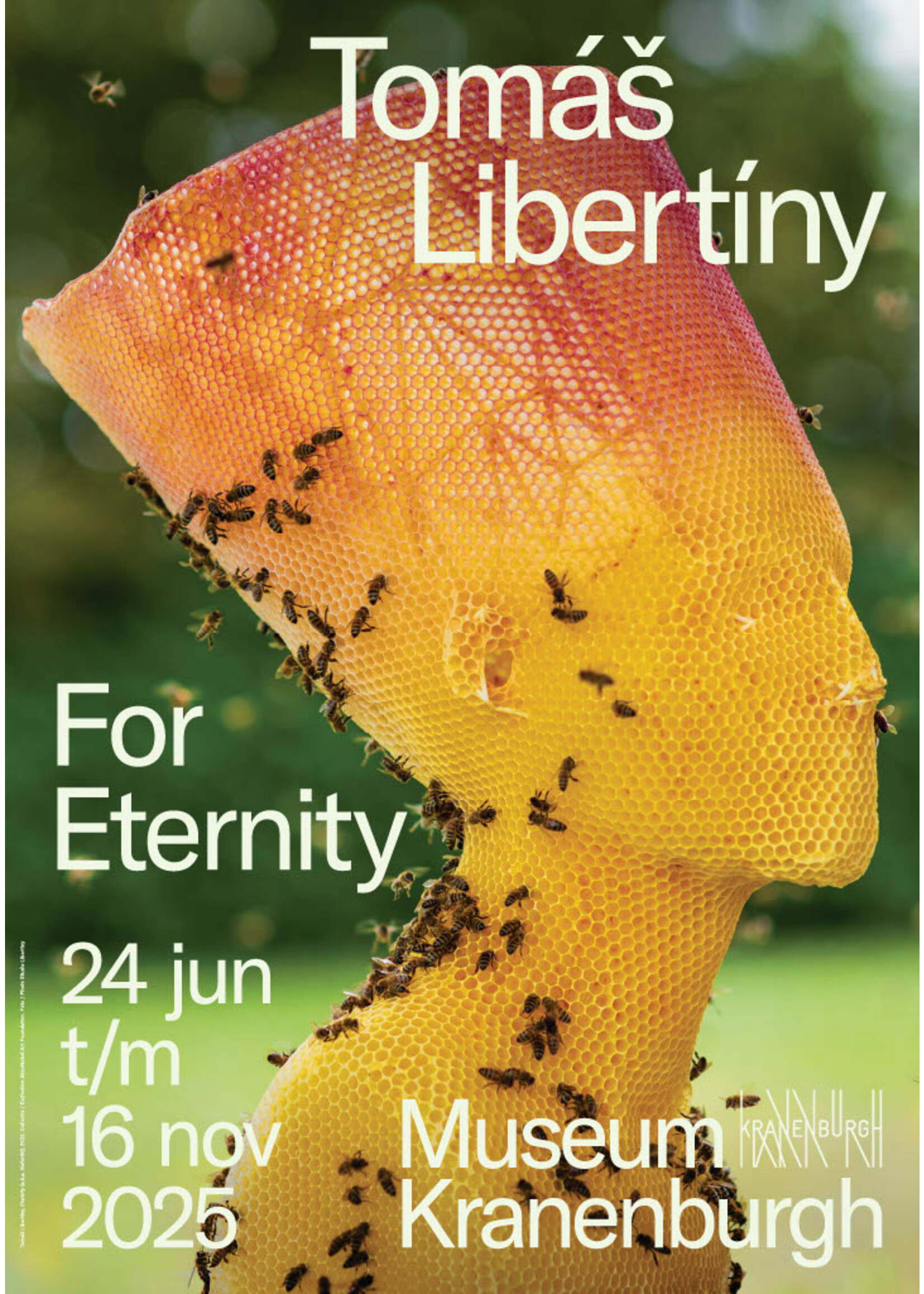 Plakat Tomáš Libertíny - For Eternity A2