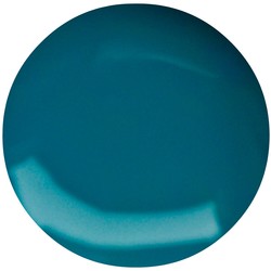 Pro & Go 26 Neon Blauw