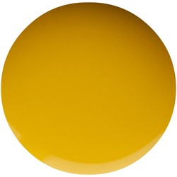 Pro & Go 31 Saffraangeel