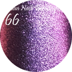 Pure Pigment 66