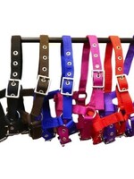 STS STS Foal Headcollar