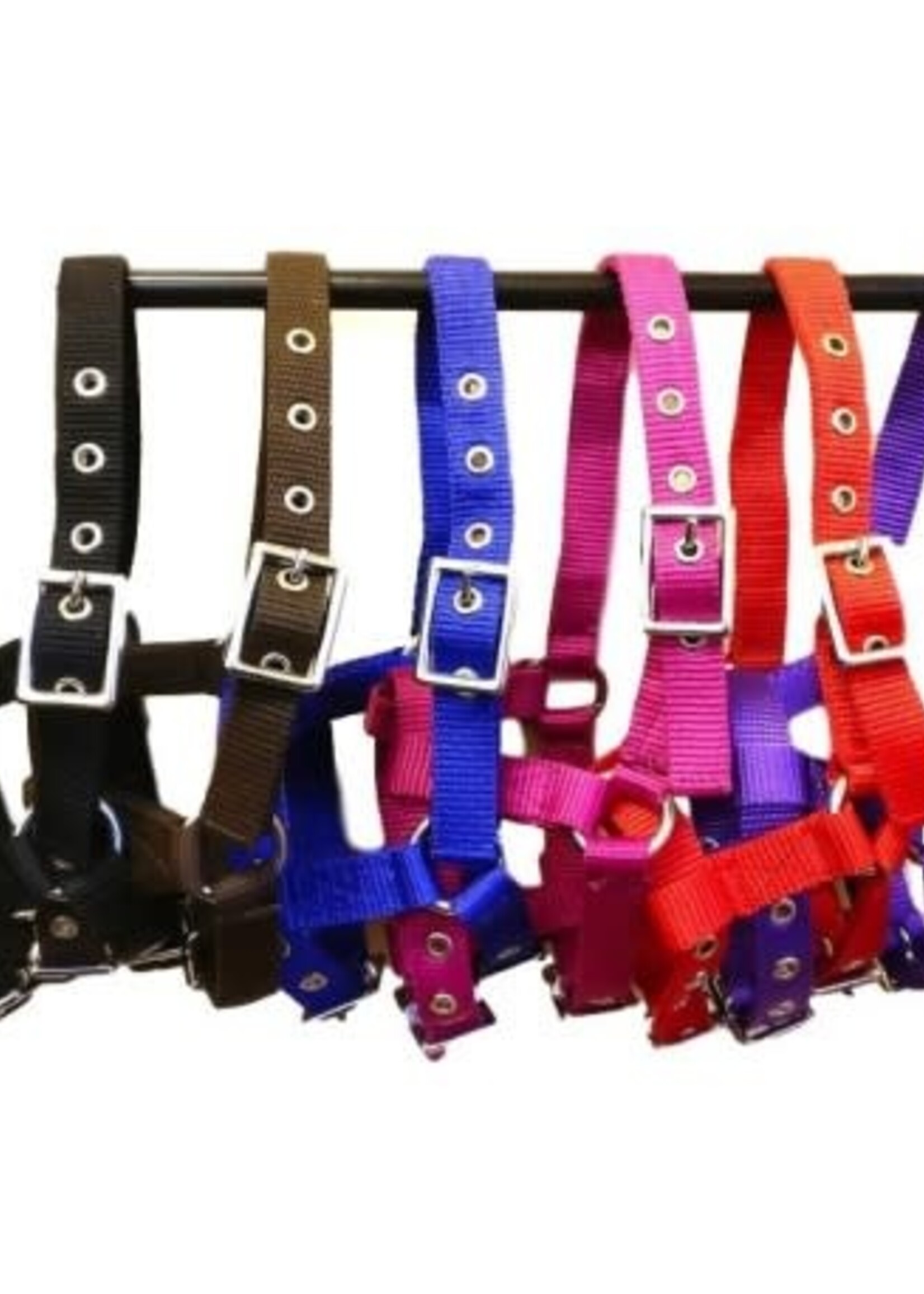 STS STS Foal Headcollar