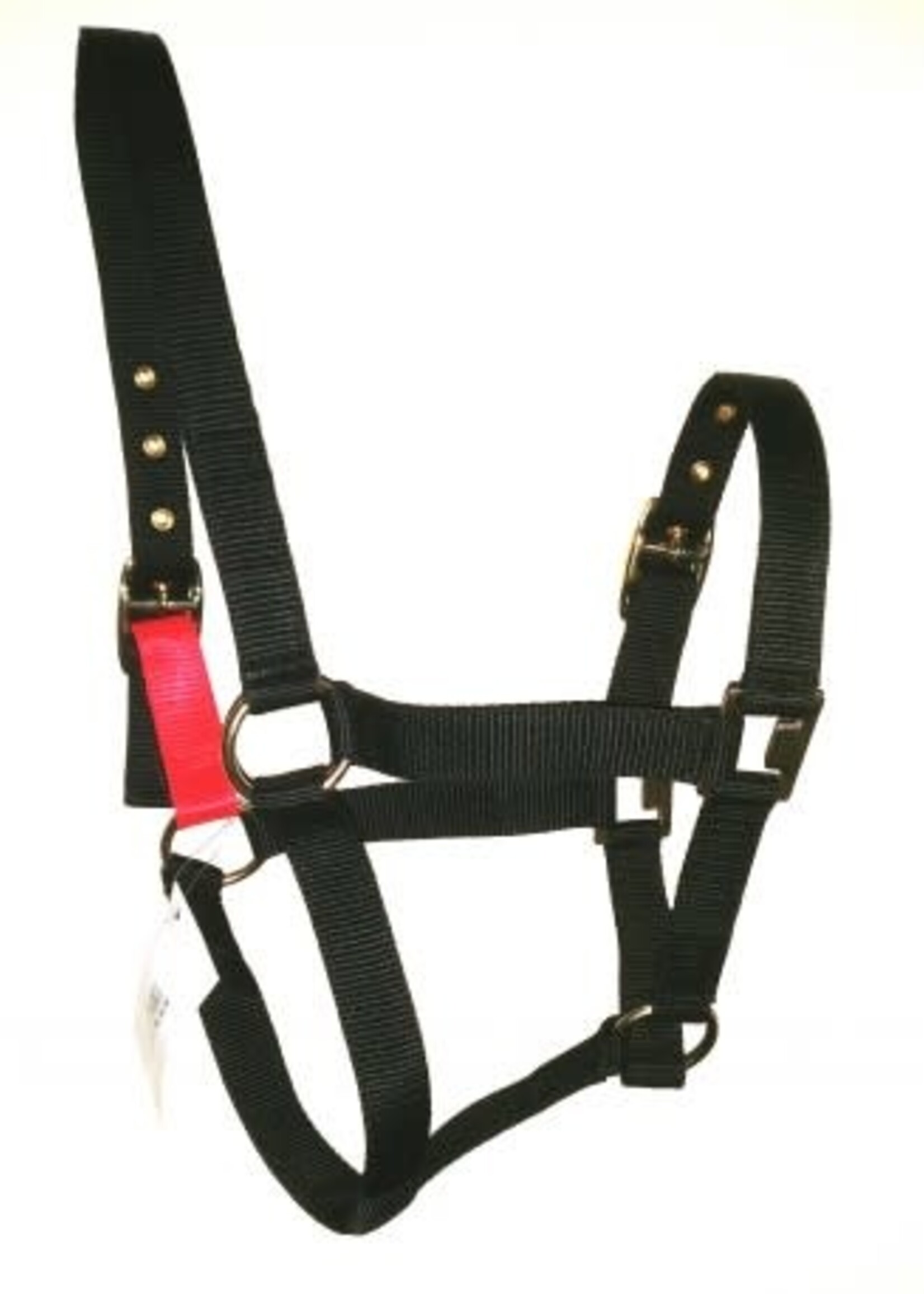 Sheldon Sheldon Field Safety Headcollar