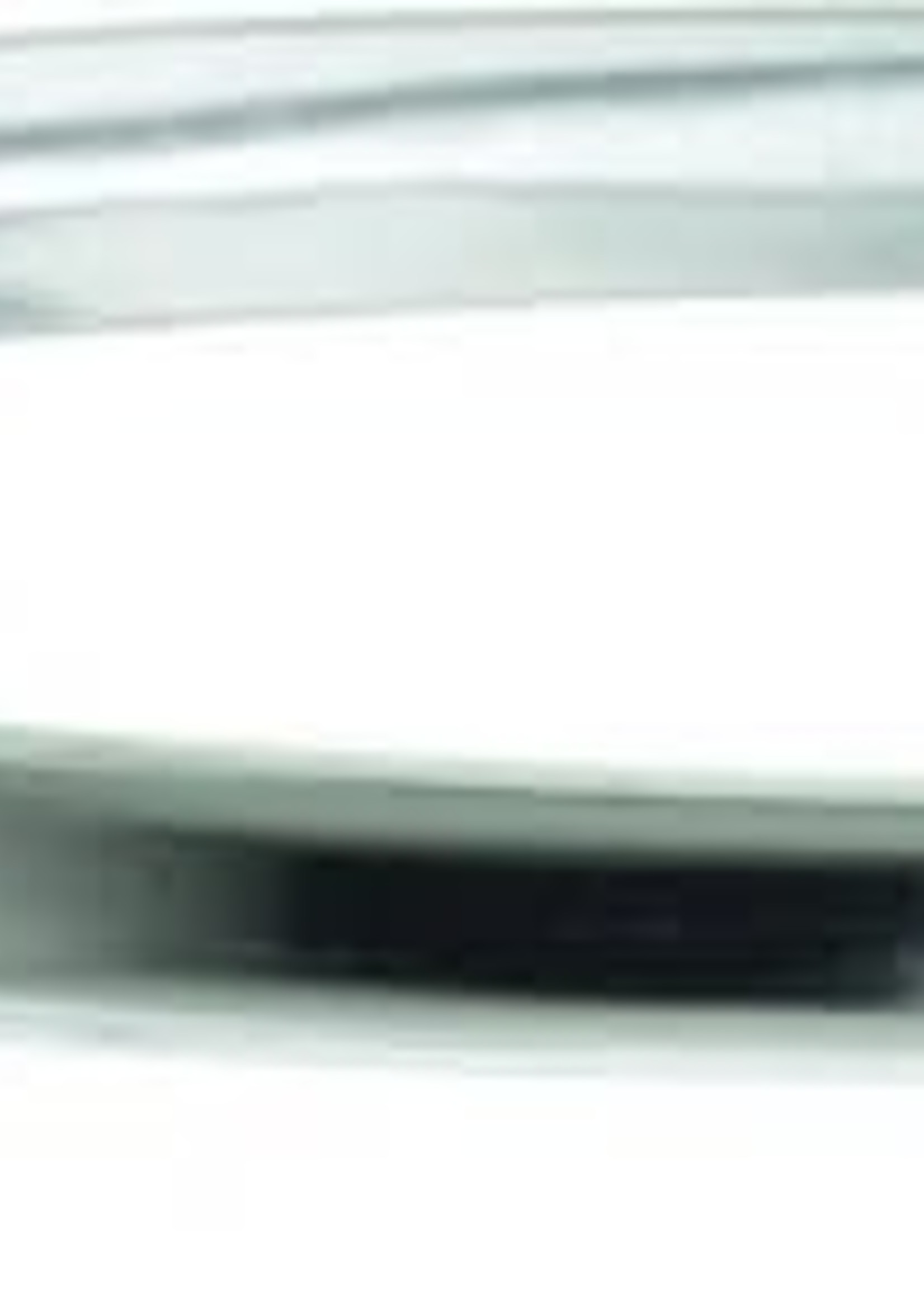 H S Sprenger Sprenger Mens NeverRust Flat End Spur 30mm