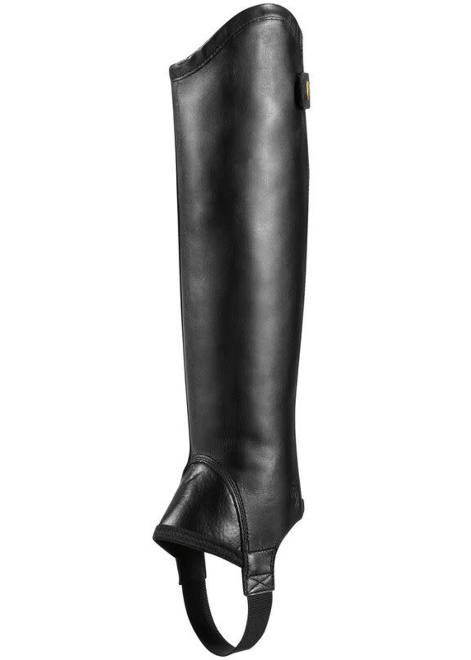 Ariat Ariat Concord Chap