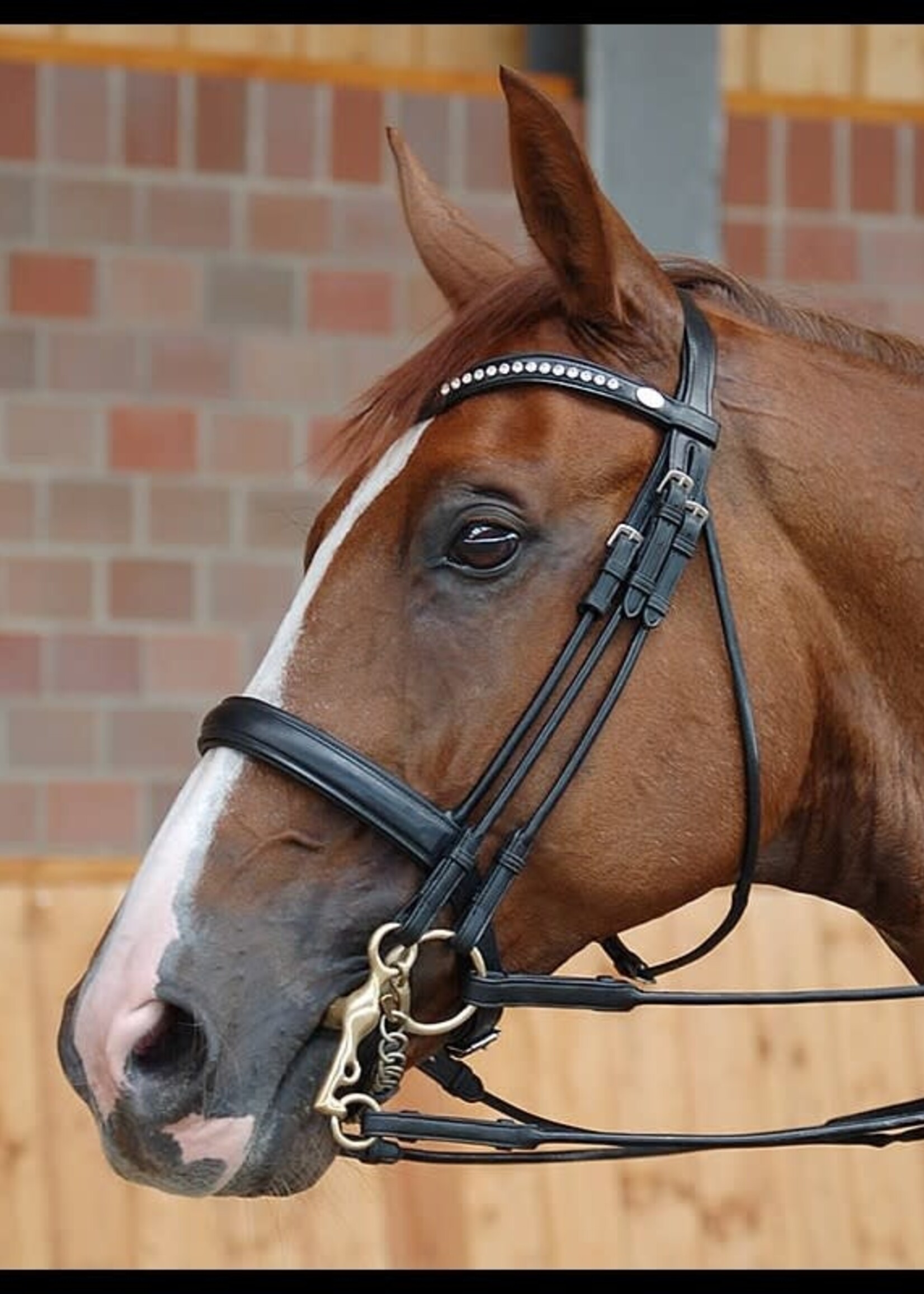 Dy'on Dyon Dressage Collection Medium Comfort Noseband Double Bridle