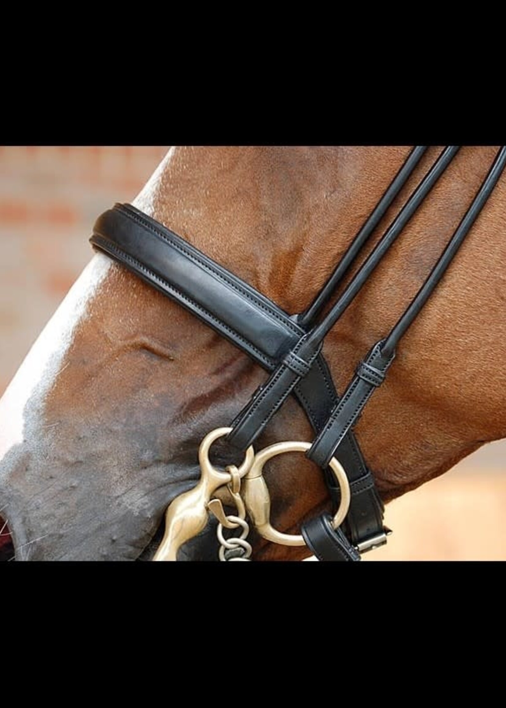 Dy'on Dyon Dressage Collection Medium Comfort Noseband Double Bridle