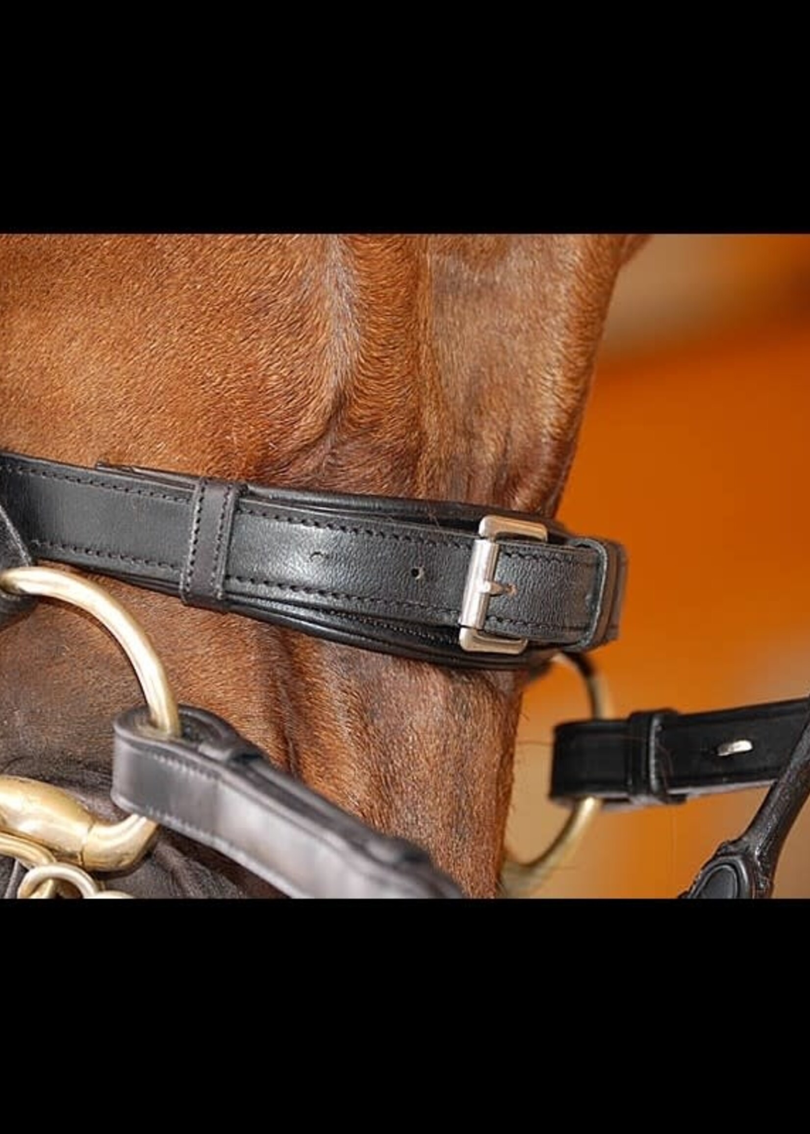Dy'on Dyon Dressage Collection Medium Comfort Noseband Double Bridle