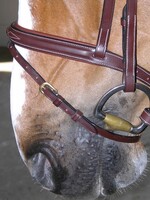 Dy'on Dyon Collection Fancy Flash Noseband