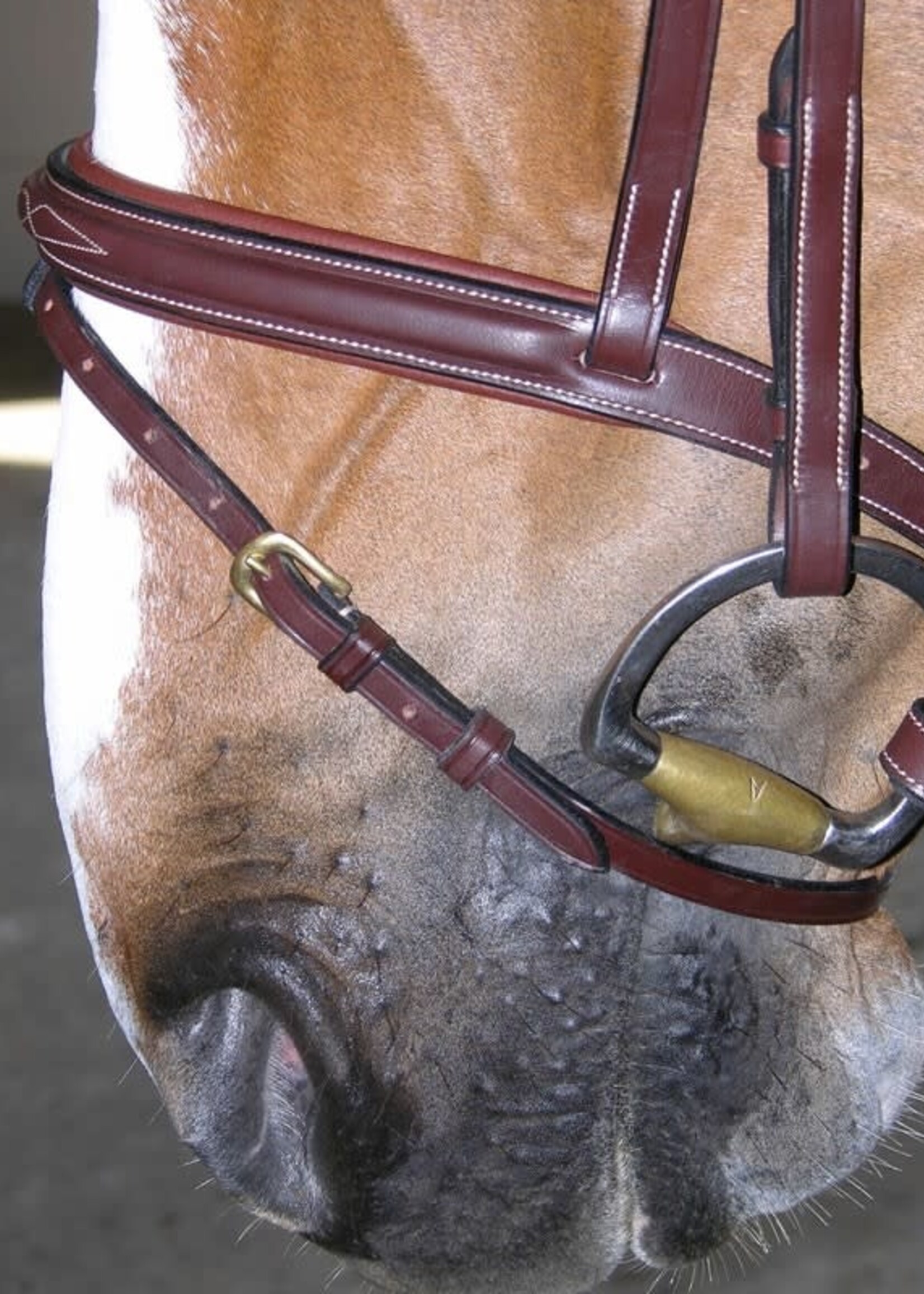Dy'on Dyon Collection Fancy Flash Noseband