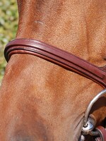 Dy'on Dyon New English Collection Cavesson Noseband