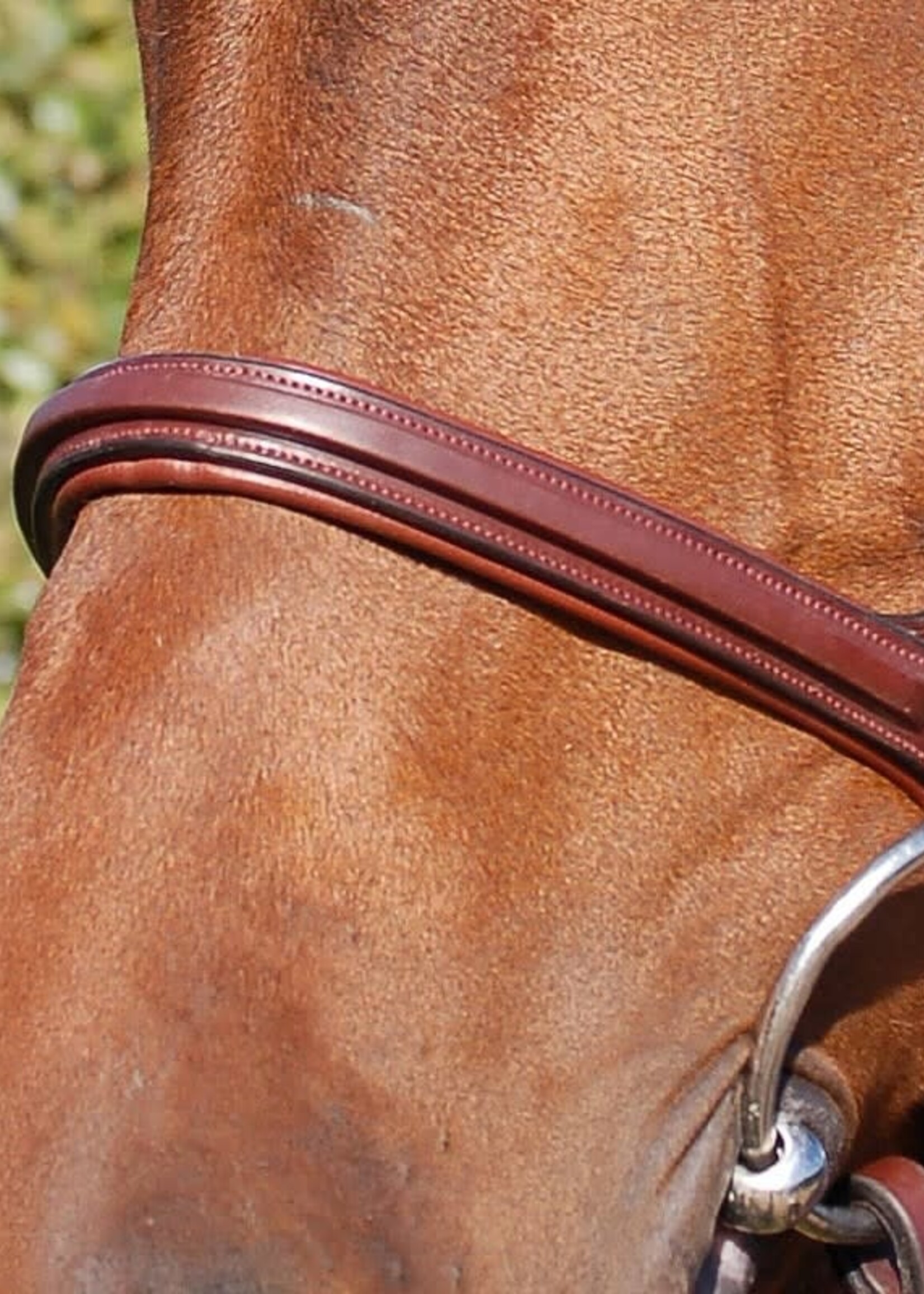 Dy'on Dyon New English Collection Cavesson Noseband