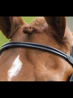 Dy'on Dyon Classic Rolled Leather Browband