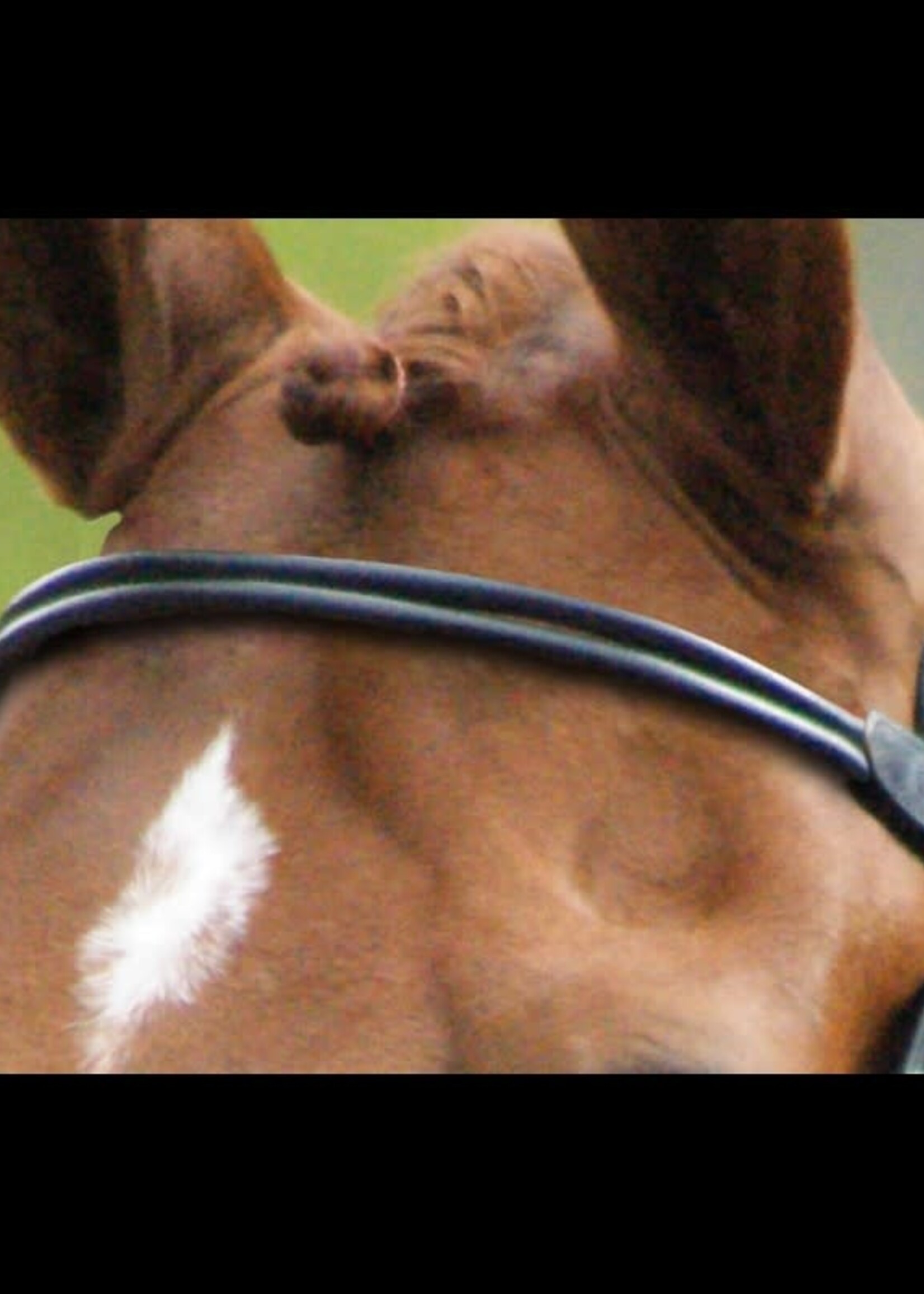 Dy'on Dyon Classic Rolled Leather Browband